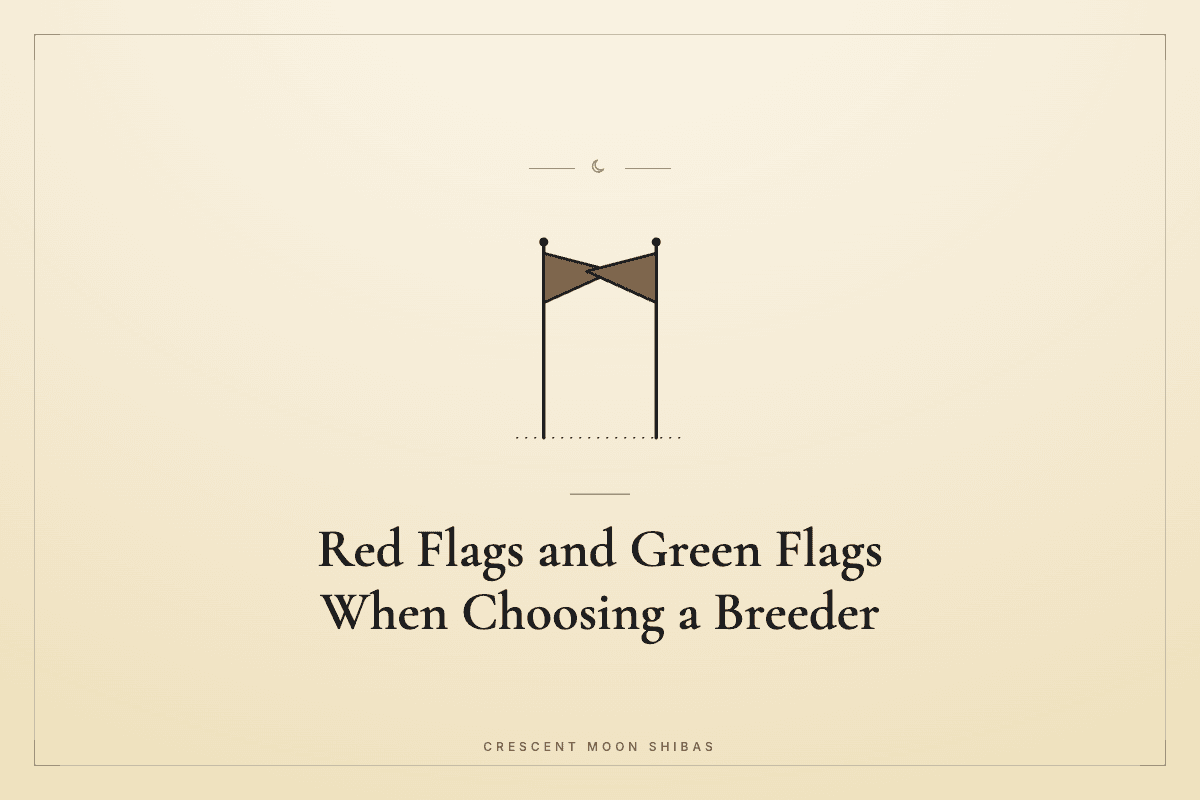 Red Flags and Green Flags When Choosing a Breeder